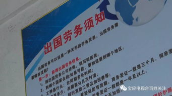 出国劳务与留学的双重陷阱 为何梦想尚未启航，财富已先行蒸发